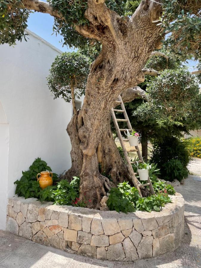 Il Trullo Di Nonno Licchio Villa Alberobello Bagian luar foto