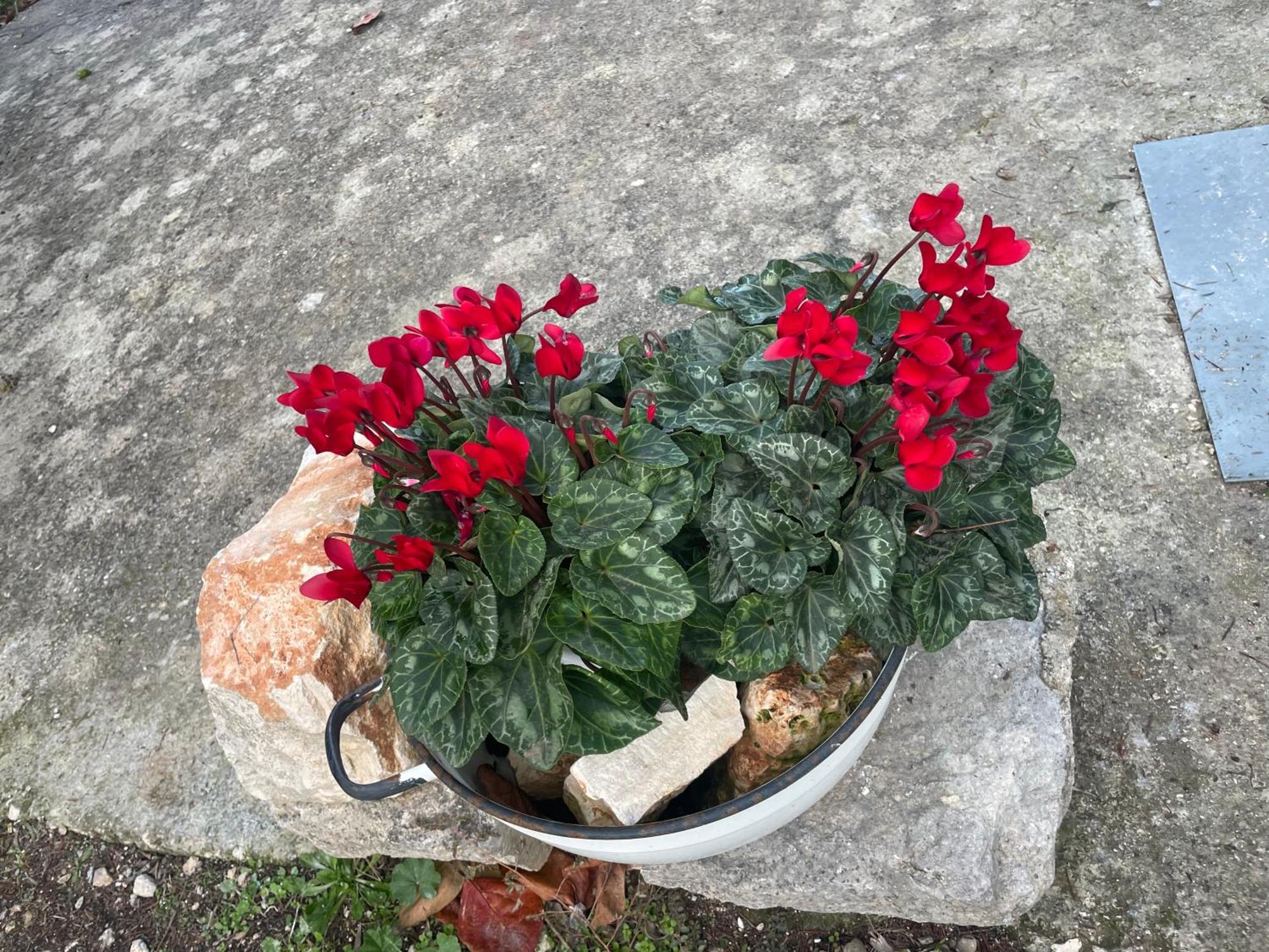 Il Trullo Di Nonno Licchio Villa Alberobello Bagian luar foto