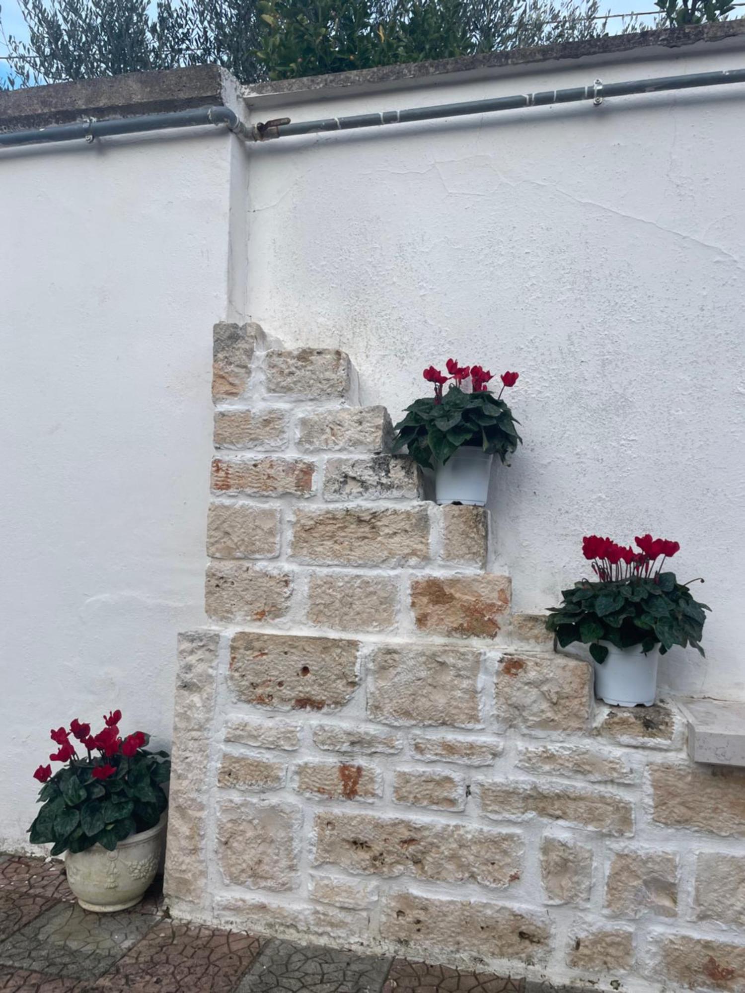 Il Trullo Di Nonno Licchio Villa Alberobello Bagian luar foto